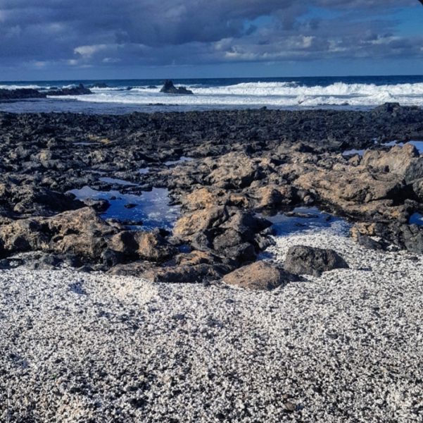 IMG-20241205-WA0004