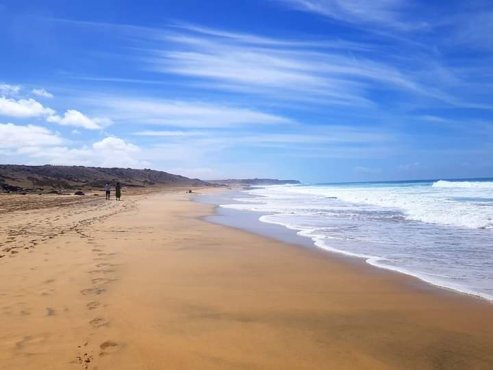 IMG-20241205-WA0010