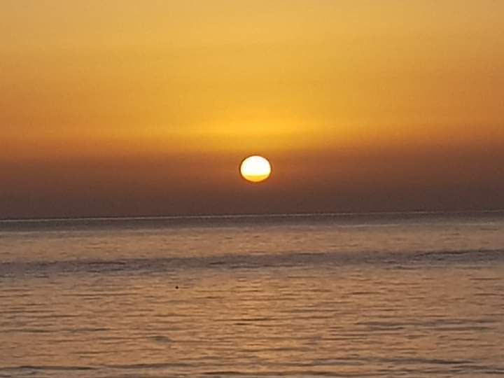 IMG-20241205-WA0024