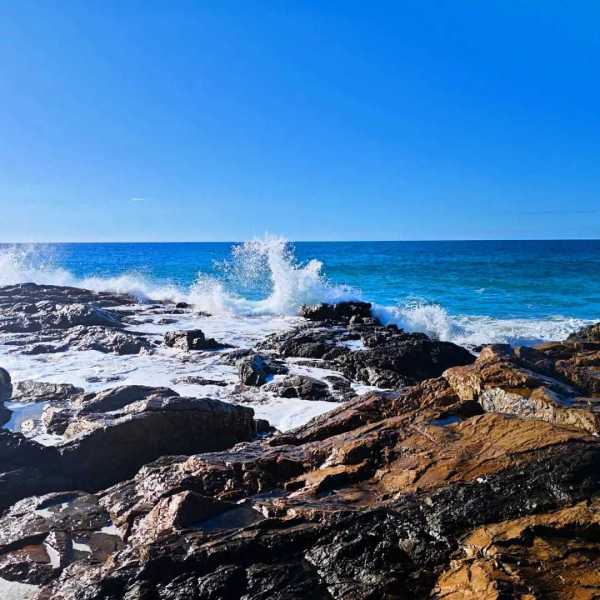 IMG-20241205-WA0091