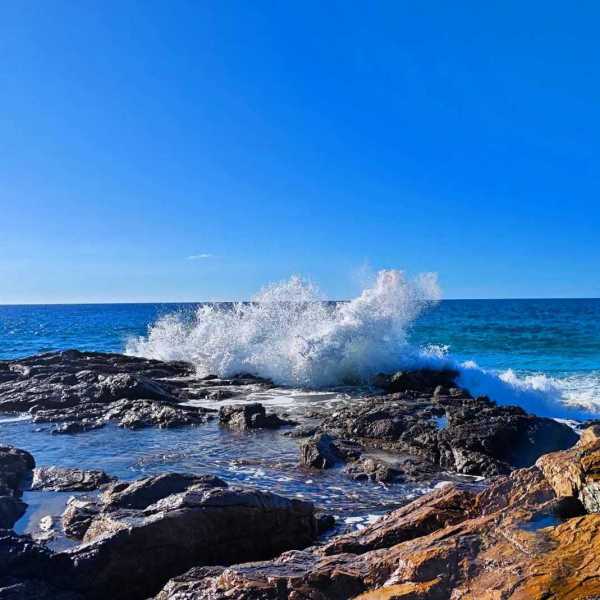 IMG-20241205-WA0092