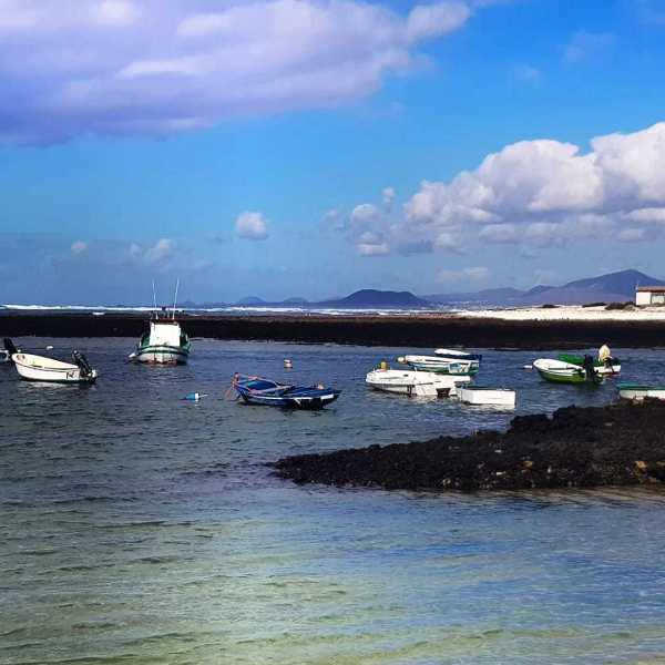 IMG-20241205-WA0123