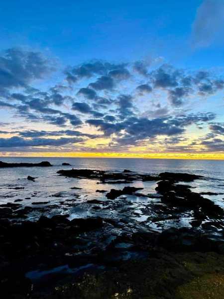 IMG-20241205-WA0124