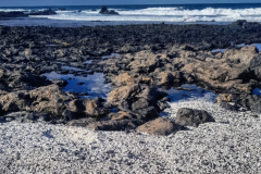 IMG-20241205-WA0004