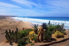 IMG-20241205-WA0007