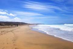 IMG-20241205-WA0010