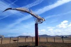 IMG-20241205-WA0011