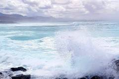 IMG-20241205-WA0012