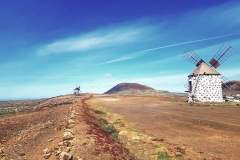 IMG-20241205-WA0018