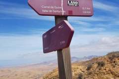 IMG-20241205-WA0045