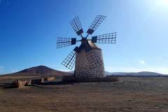 IMG-20241205-WA0046