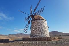 IMG-20241205-WA0052