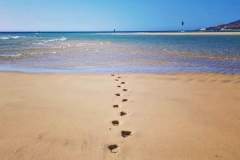 IMG-20241205-WA0063