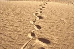 IMG-20241205-WA0079
