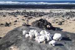 IMG-20241205-WA0088
