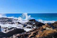 IMG-20241205-WA0091