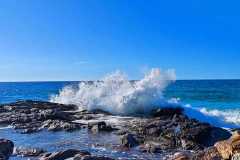 IMG-20241205-WA0092