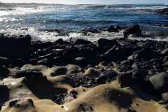 IMG-20241205-WA0104
