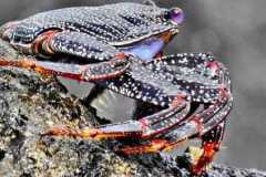 IMG-20241205-WA0108