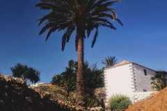 IMG-20241205-WA0111