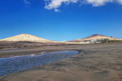 IMG-20241205-WA0113