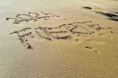 IMG-20241205-WA0116