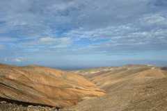 IMG-20241205-WA0126