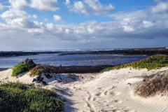 IMG-20241205-WA0138