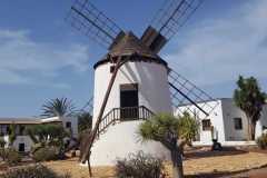 IMG-20241205-WA0139